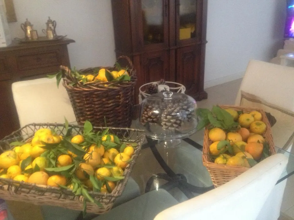 Casa Agrumeto - Locazione Turistica Mondello Apartmán