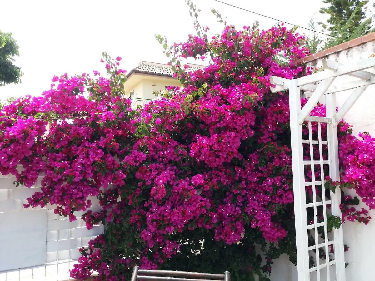 Casa Agrumeto - Locazione Turistica 0*, Mondello Italy