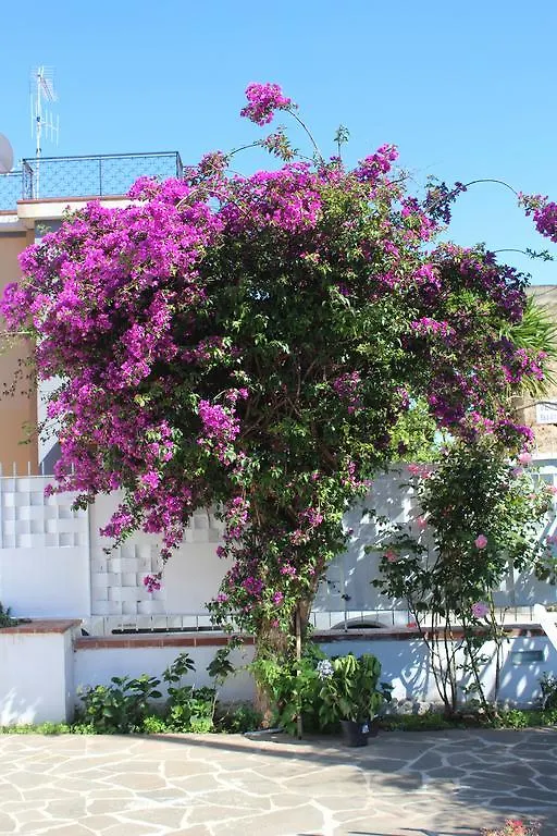 Casa Agrumeto - Locazione Turistica Mondello